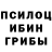 Псилоцибиновые грибы Psilocybe Timofej Pushkin