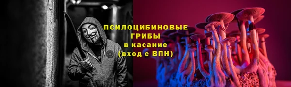 тгк Аркадак