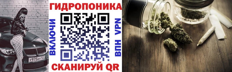 гидра ТОР  Кологрив  Канабис тримм 